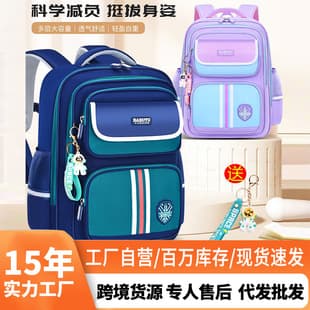 Boys and Girls School Backpack Spine Protection Ergonomic Large Capacity Breathable Reflective Bag Grades 1-6