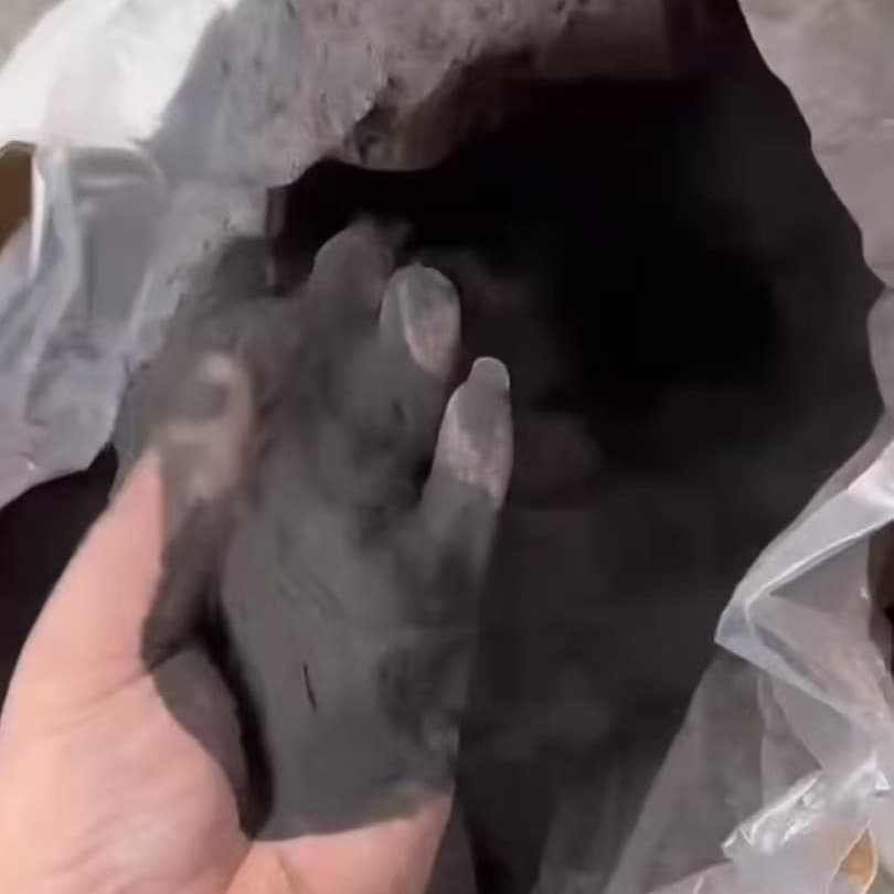 SLS Laser Sintering 3D Printing Nylon PA12 Nylon 11 Powder Evonik Arkema EOS Flame Retardant Black Base
