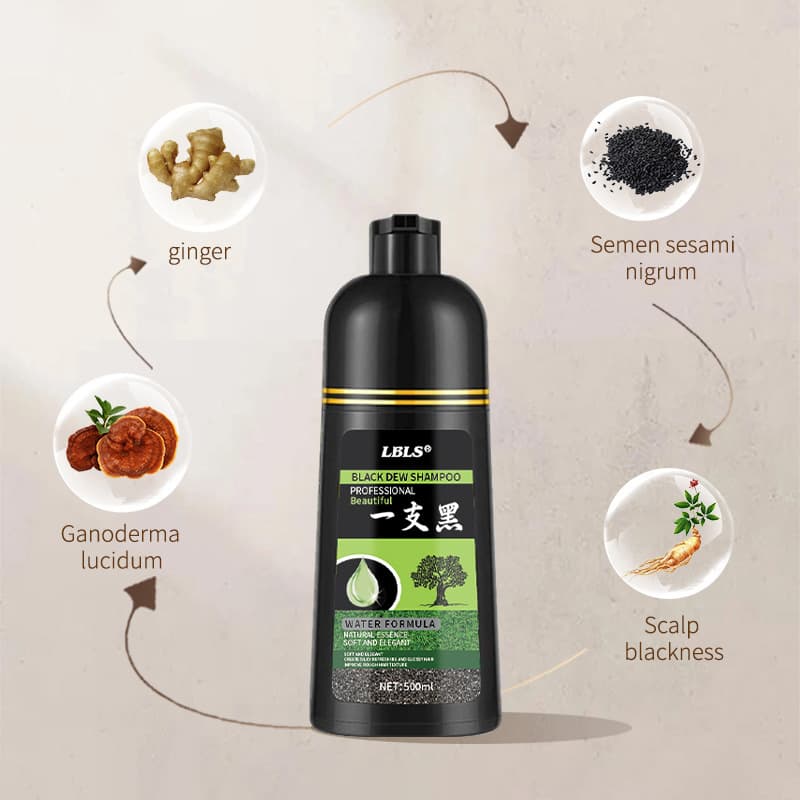 LBLS Plant Extract Hair Dye Shampoo Natural Black White Hair Dye 3-in-1 Wholesale