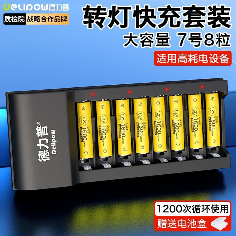 Delipu AA Rechargeable Battery Charger Kit 4800 High Capacity 1.2V NiMH Rechargeable Batteries