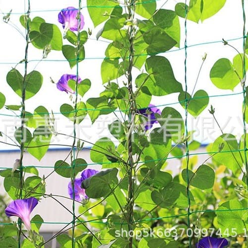 Drop Shipping Green Garden Trellis Net with Support for Lilies, Chrysanthemums, and Home Climbing Use