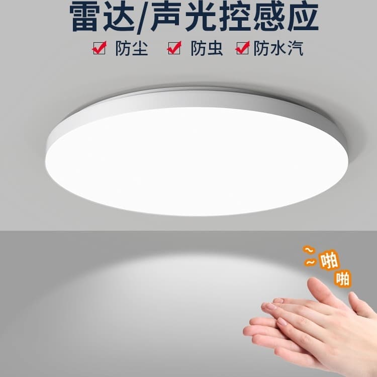 Infrared sensor ceiling light, LED balcony corridor staircase entrance hall sound and light radar human body sensor light