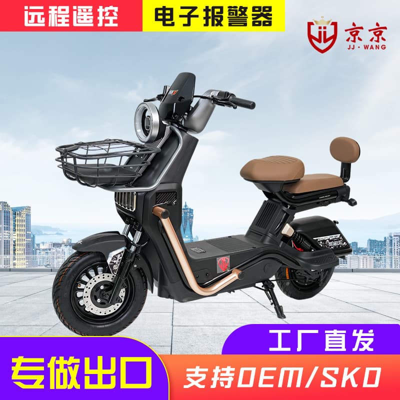 New 48V Jingjing Electric Bike for Home Commuting, Pedal Assist, Hot-Selling Model for Overseas Orders to Brazil