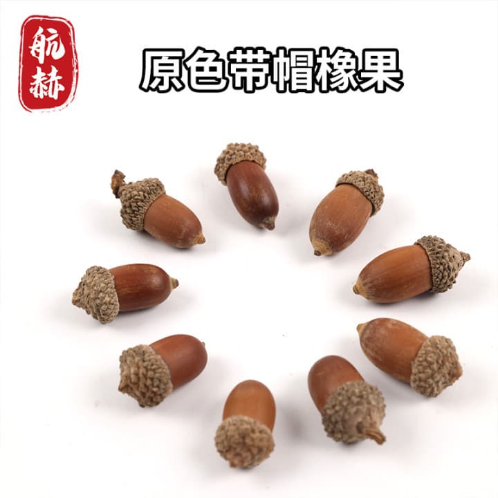Natural Acorn Oak Nut Shell Dried Fruit Shell Landscape Ornament Photography Prop Window Display Christmas Decoration Pendant