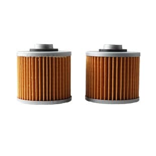 Motorcycle Oil Filter for Yamaha YFM, Honda, TDM850, Grizzly
