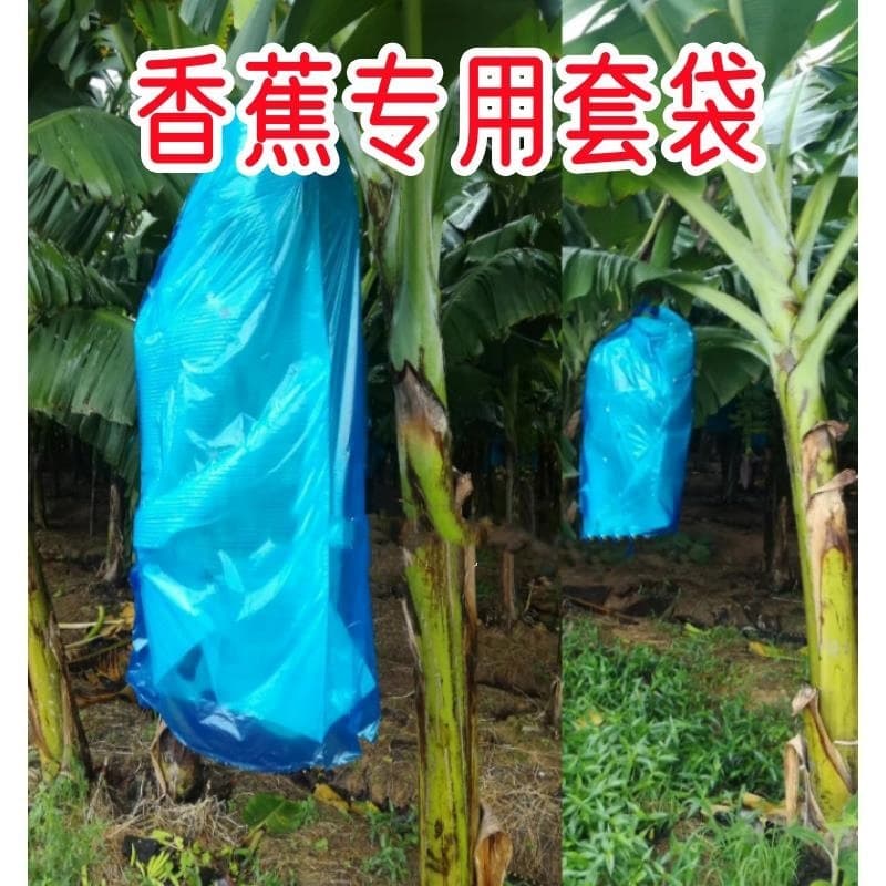 Winter Banana Bag, Plantain Protective Bag, Frost-Proof Breathable Mesh Bag, Jackfruit Freeze-Proof Bag, Fruit Bag