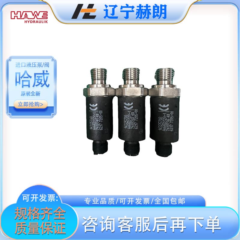 In-stock with free shipping, genuine imported HAWE DT2-2 pressure relay, German HAWE oil pump new relay