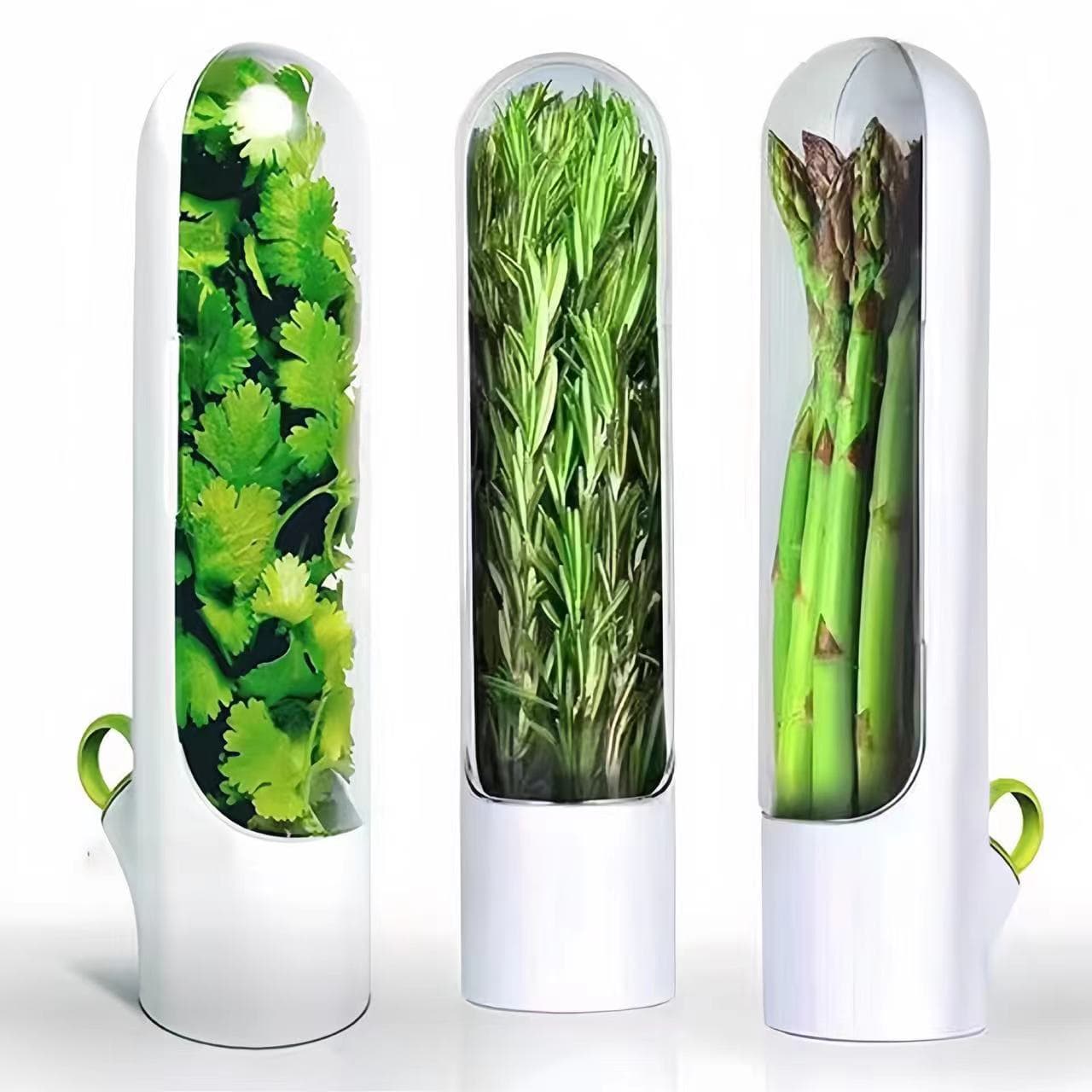 Cross-border new herb preservation box, vegetable storage, herb preservation cup, Amazon bamboo shoot preservation