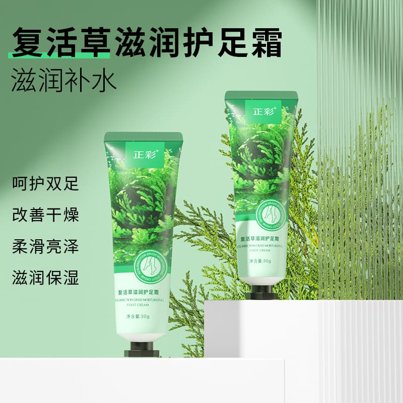 Resurrection Plant Nourishing Foot Cream for Hydration, Moisturizing, Foot and Heel Peeling, Autumn and Winter Dryness Prevention, Wholesale