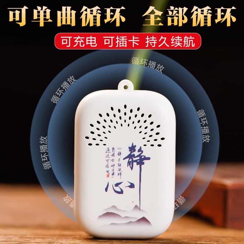 Small Player with 30 Classic Tracks, Rechargeable Elderly Phonograph, Single Song Repeat, Portable External Pendant Player