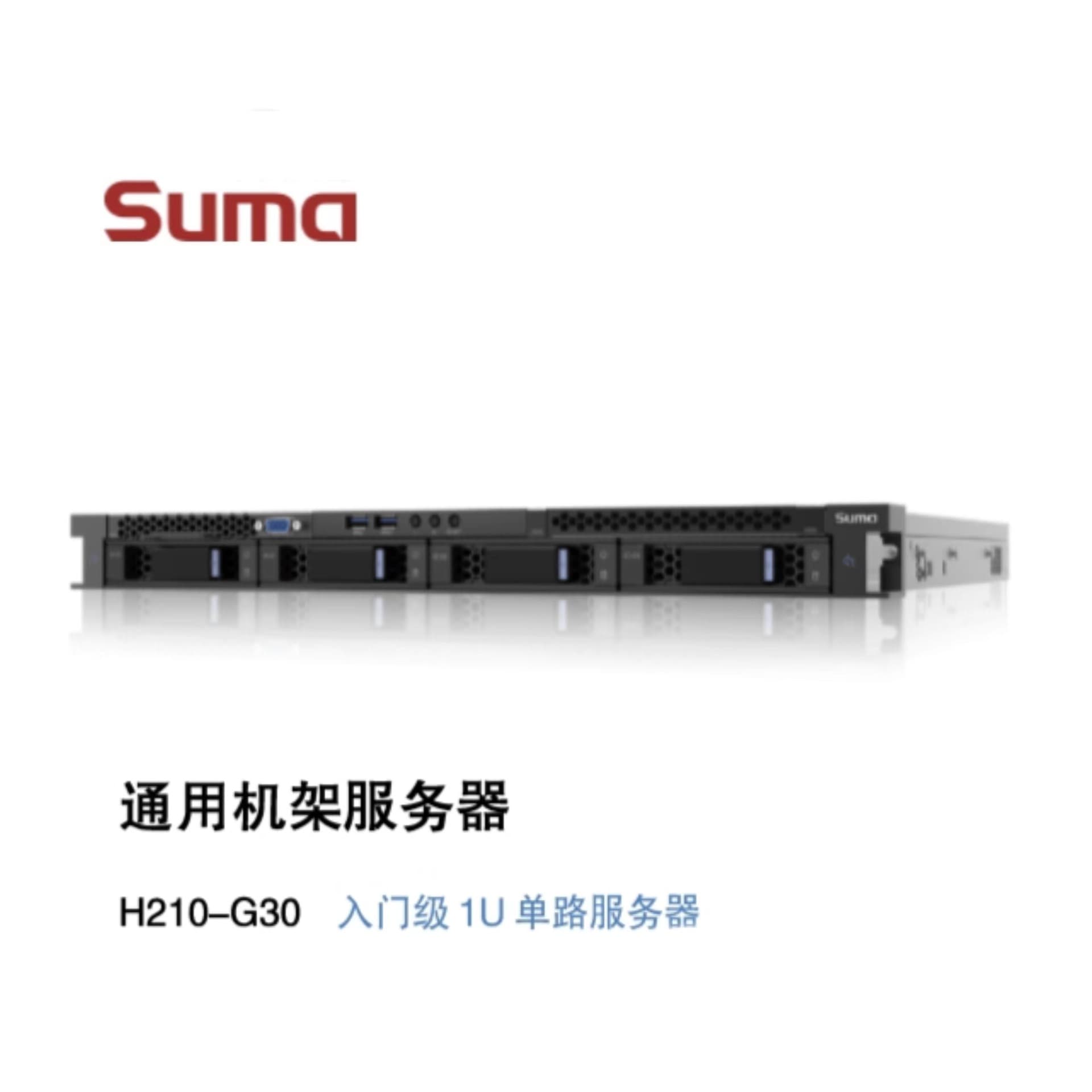 Domestic Server/Zhongke Controllable Server H210-G30