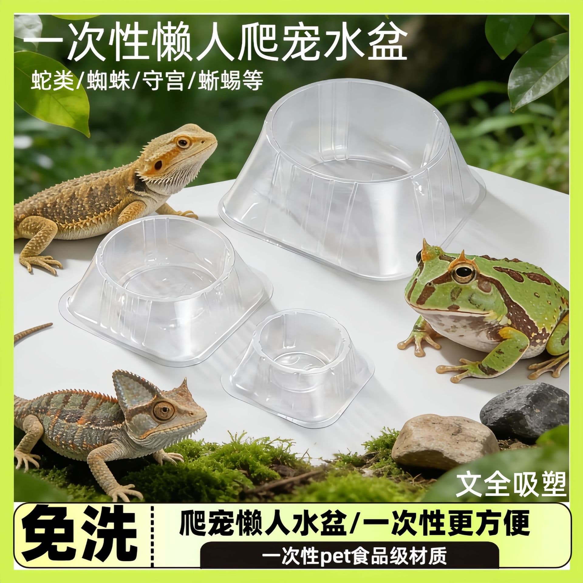 Reptile Disposable Water Bowl, Integrated Lazy Water Bowl for Gecko, Spider, Snake, Cat, Dog, Sterile Pet Food Bowl, Non-Tipping
