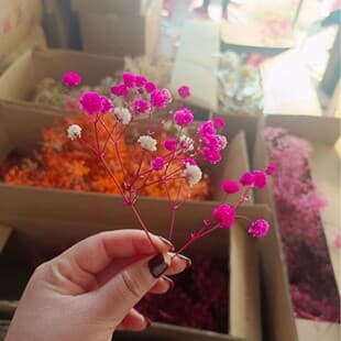 Baby's Breath Flower Heads Small Star Flower Baby's Breath Low Price Small Star Flower Glue Flower Head Material Preserved Flower Crushed Flower Head Treatment