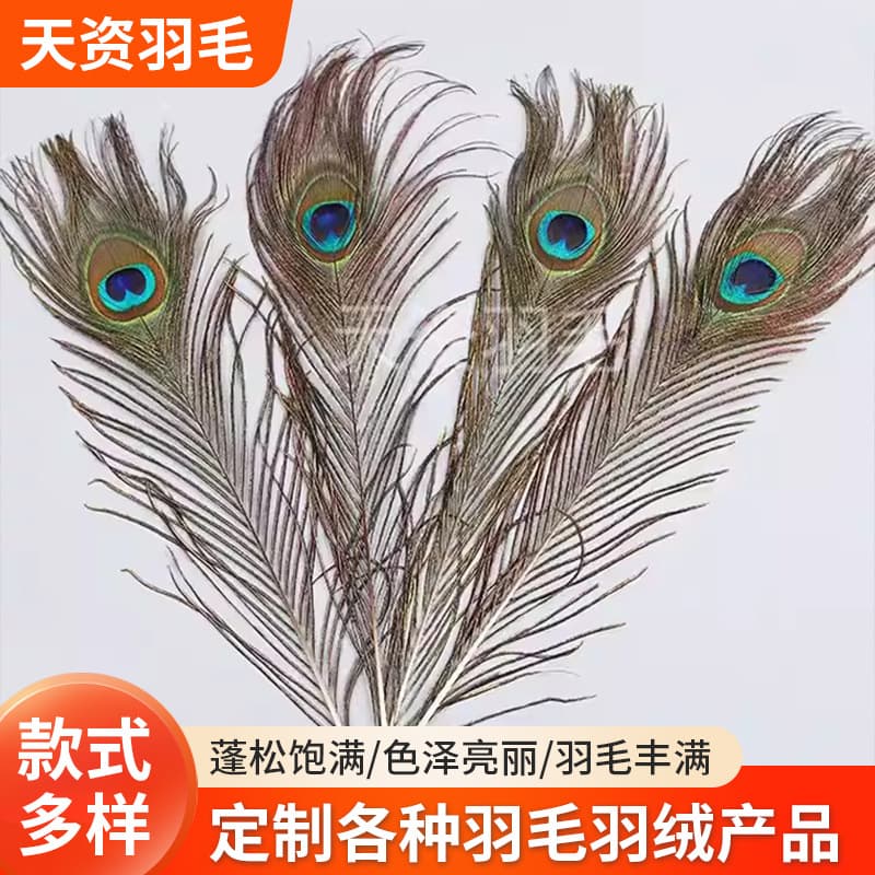 Peacock Tail Feather Stage Decoration Fan Earrings Dream Catcher Ear Cleaning Peacock Feathers