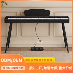 WENCAI Portable Digital Piano 88 Keys Weighted Hammer Beginner Home Kindergarten Teacher Multifunctional Electronic Piano Dropshipping