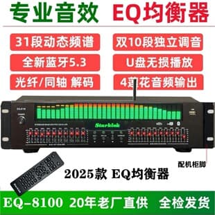 EQ8100 Professional 31-Band High-End Equalizer Effect Processor 2-in-1 with Bluetooth, Optical, Coaxial, Karaoke Anti-Howling