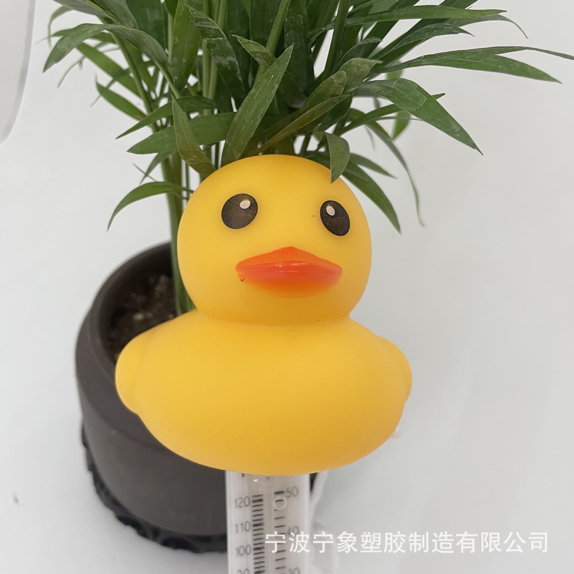 Our company specializes in manufacturing cartoon-style thermometers for swimming pools, fish ponds, bathrooms, and baby baths.