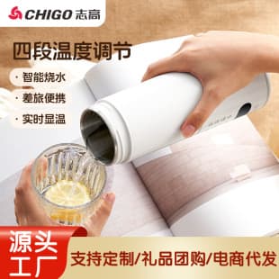 Chigo Electric Heating Cup Portable Travel Water Warmer Mini Insulated Mug for Office