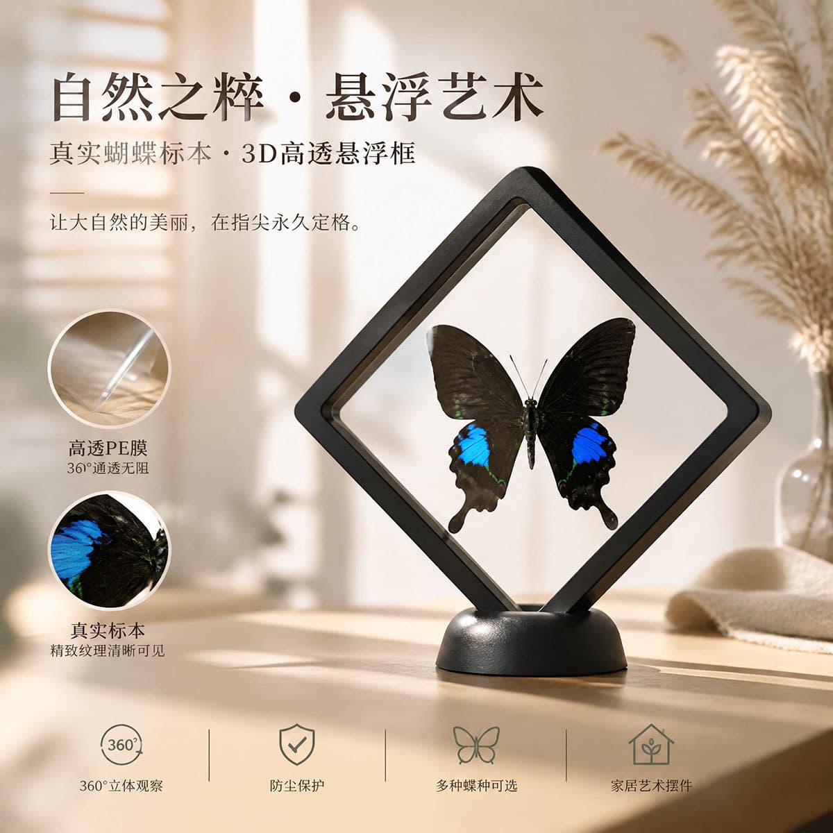 Real Butterfly Specimen Teaching Black Transparent Film Floating Box Display Decoration Photo Prop Birthday Gift Model