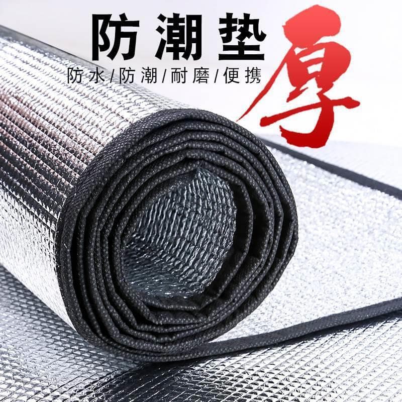 Student Dormitory Anti-Damp Moisture-Proof Mattress, Mold-Resistant Dry Pad for Home Use, Thick Floor Sleeping Mat with Humidity Barrier