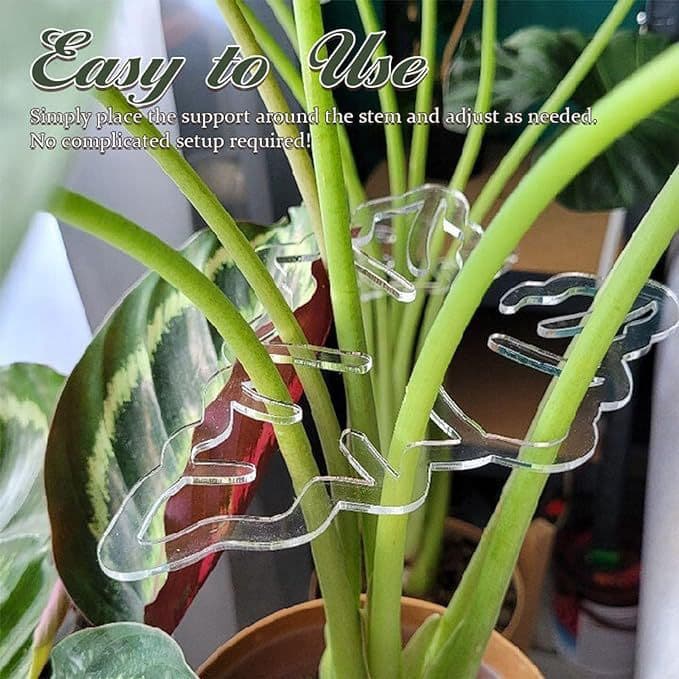 Amazon New Turtle Shell Bamboo Clamp Set Transparent Plastic Plant Stem Support