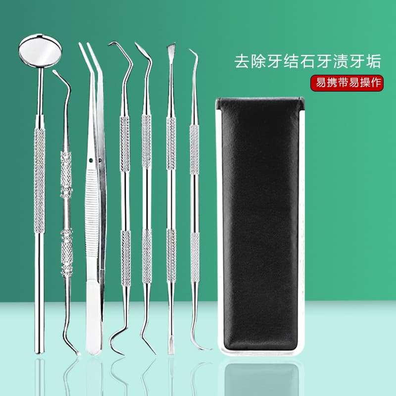 Stainless Steel Dental Tool 6-Piece Set Calculus Remover Endoscope Toothpick Dental Oral Care Kit