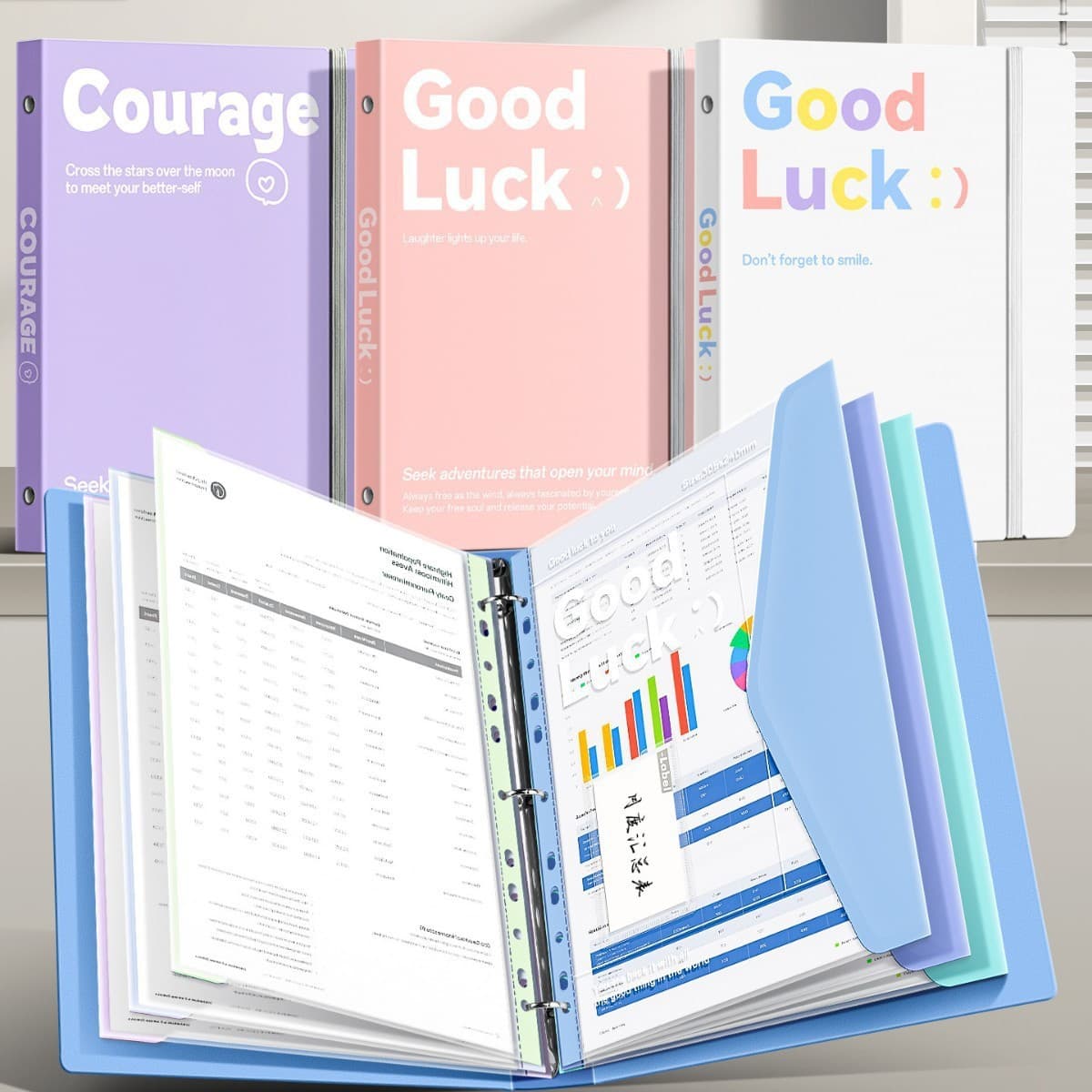 Office storage and organization loose-leaf folder A4 thickened transparent information bag study material test paper storage book wholesale