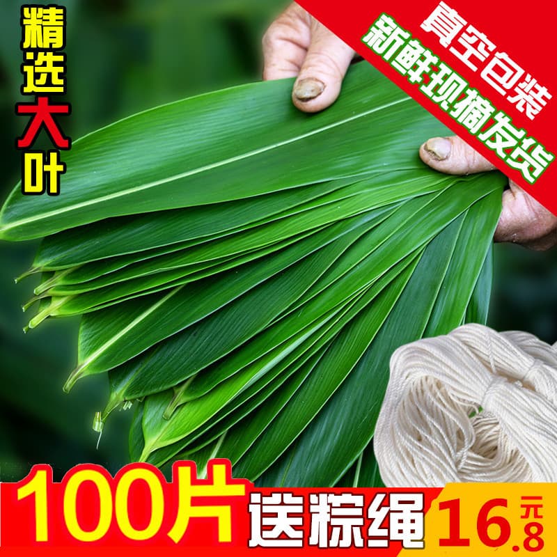 Factory supply Dragon Boat Festival reed leaves, large reed leaves for wrapping zongzi, fresh e-commerce reed leaves, fresh-keeping leaves