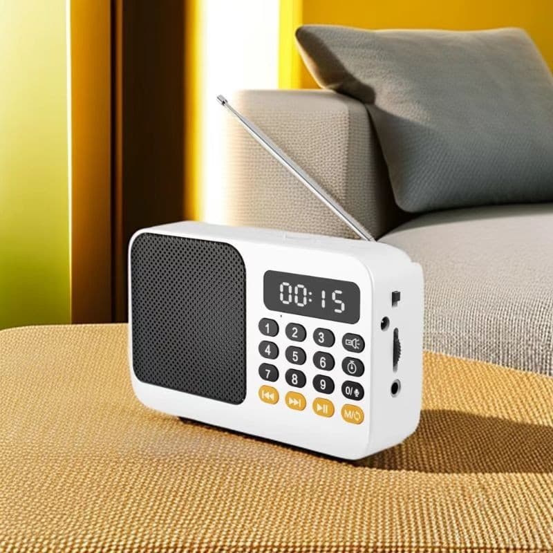 Hongba 602 Senior Radio Portable Charging Player Multi-function Card Radio Bluetooth Speaker