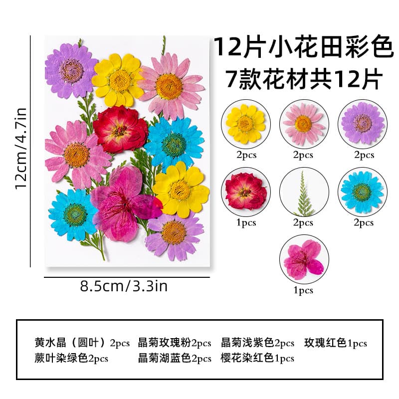 Cross-border exclusive supply of dried flower and pressed flower material kits wholesale, pressed flower bookmarks, real tree leaves, plant specimens, handmade face stickers.
