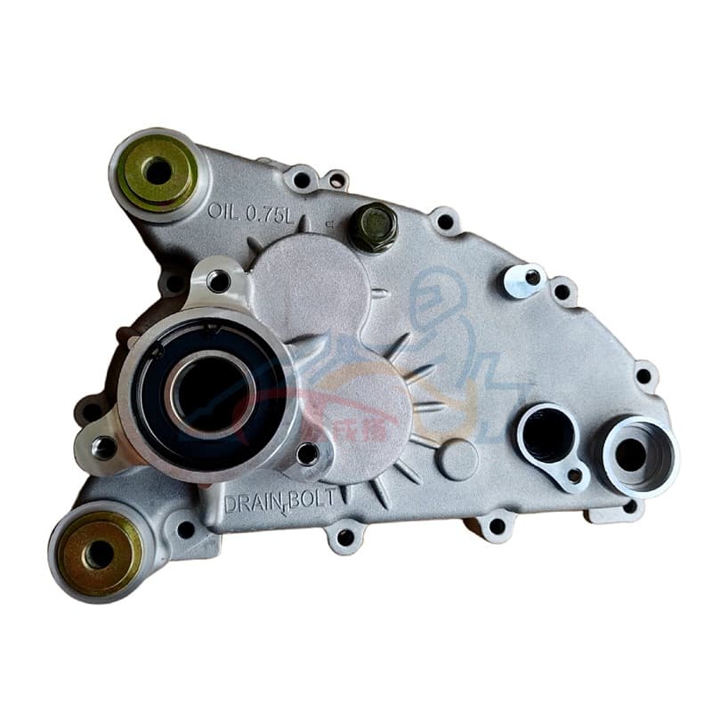 Beach Buggy Go Kart Parts Jinlang 300cc CVT with Reverse GY6 Engine Gearbox Cover Side Cover
