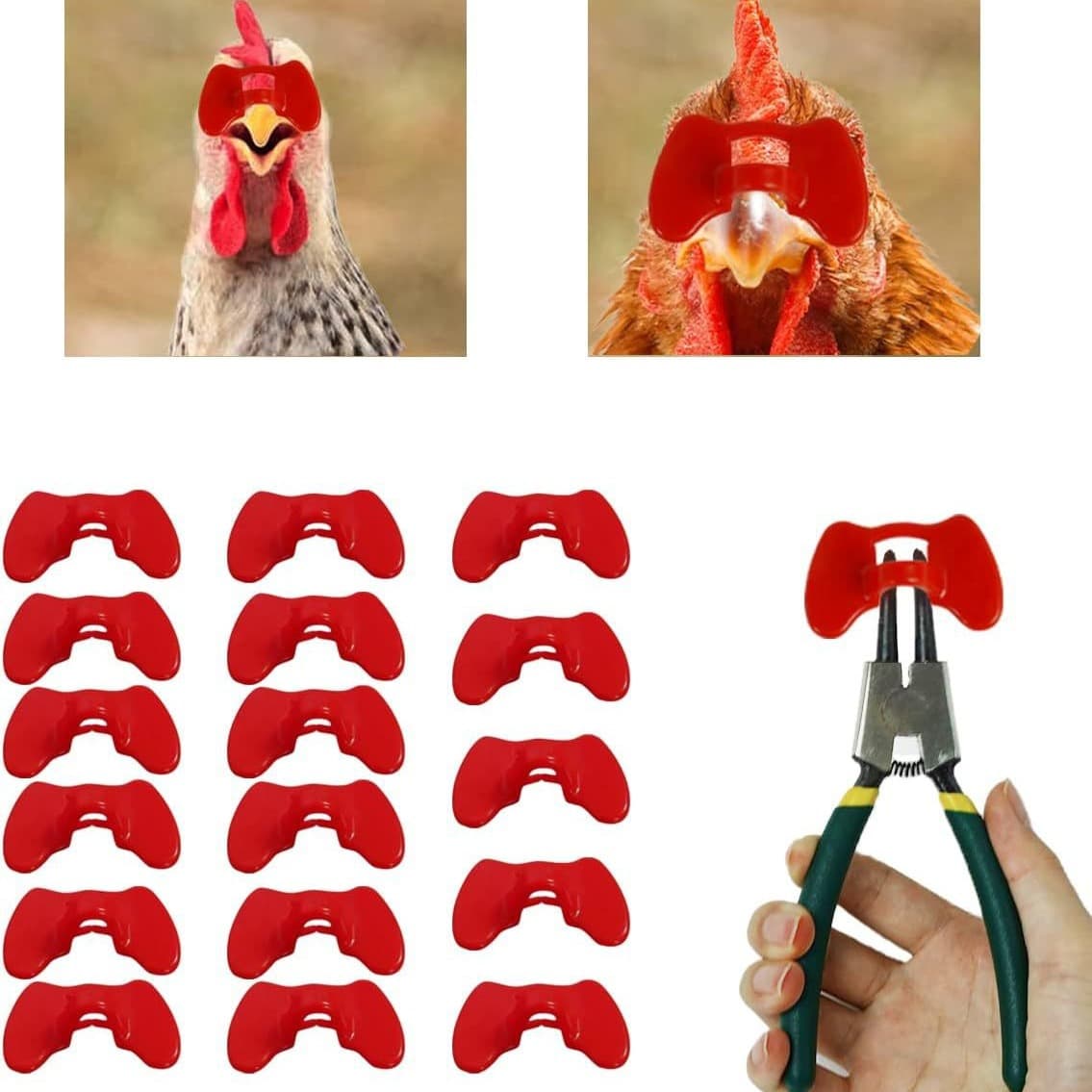 Chicken Glasses Anti-Peck Blinders Large Medium Small No-Pin Chicken Glasses for Pheasants Poultry Supplies Equipment