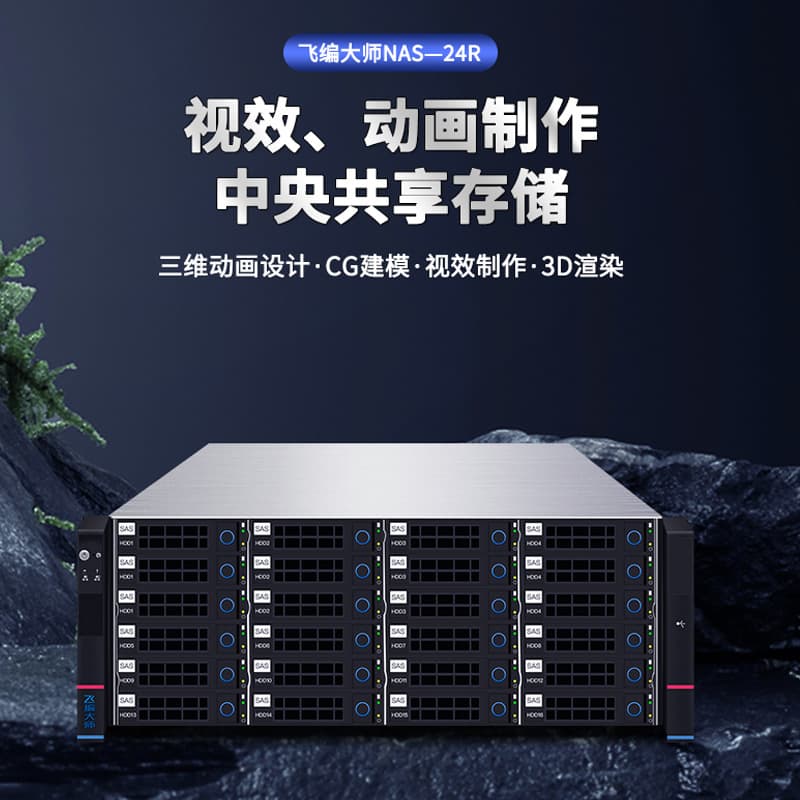 Feibian Master LM-X01-E24w 24-Bay Rackmount 10GbE Network Shared Storage Disk Array