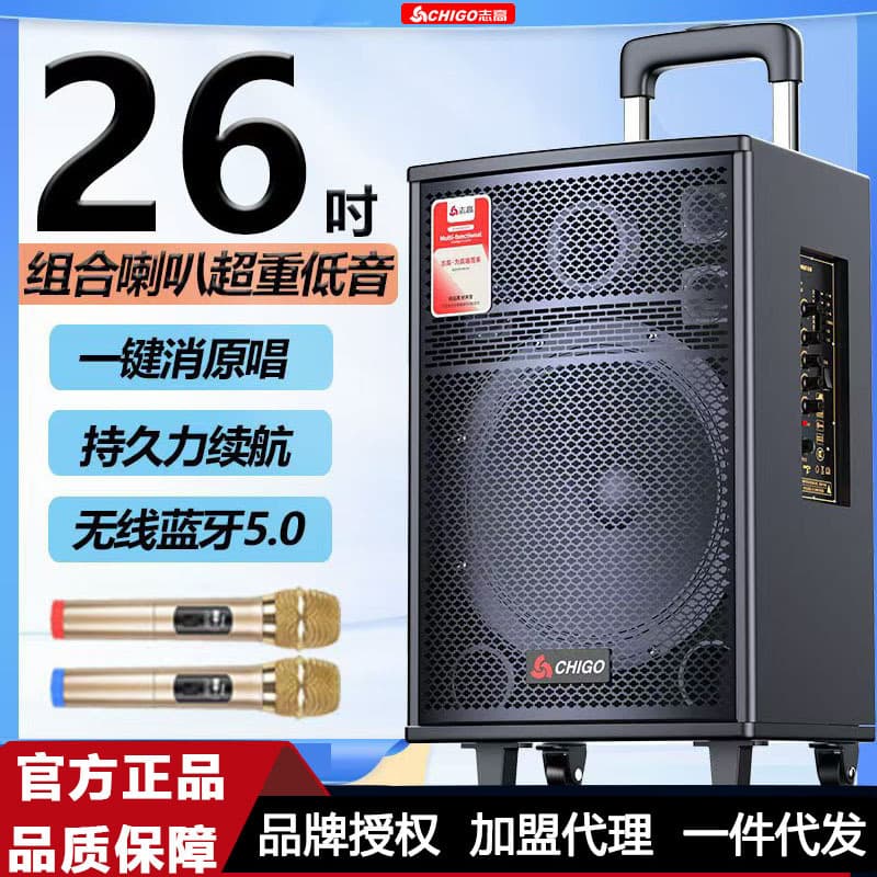 Chigo Wireless Bluetooth Square Dance Speaker Outdoor Live Streaming Portable KTV Speaker High Power Pull Rod Speaker Wholesale