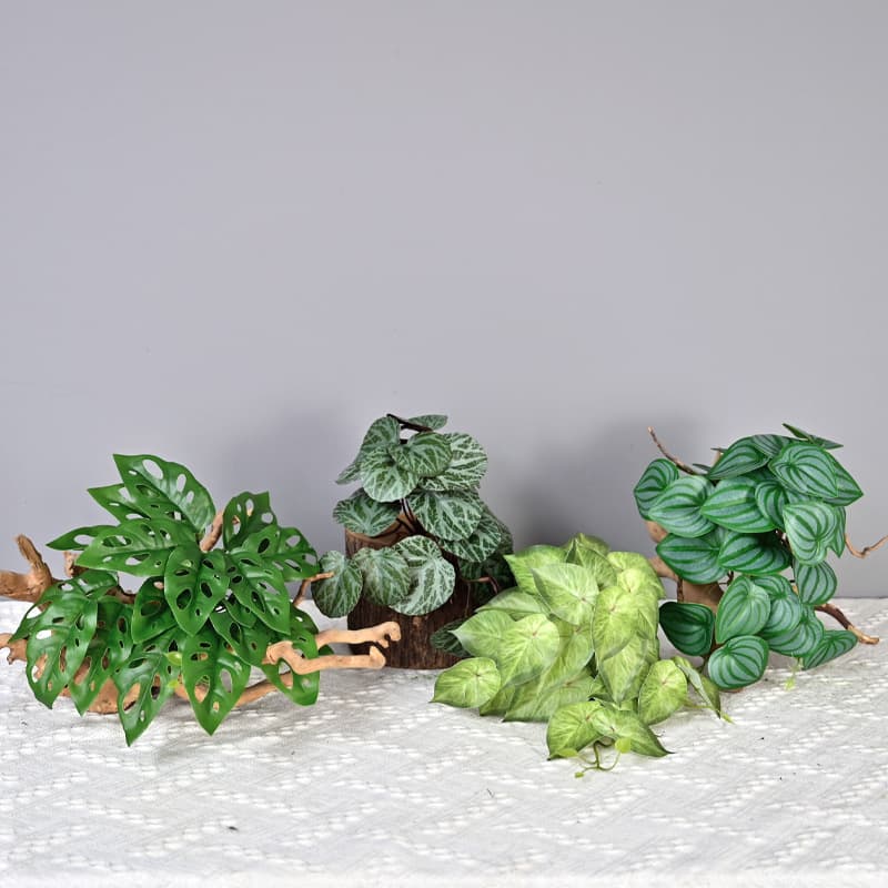 Simulated Wall-Mounted Apple Leaf, Watermelon Leaf, Calathea, Monstera, Artificial Plant Wall for Home Background Green Leaf Decor
