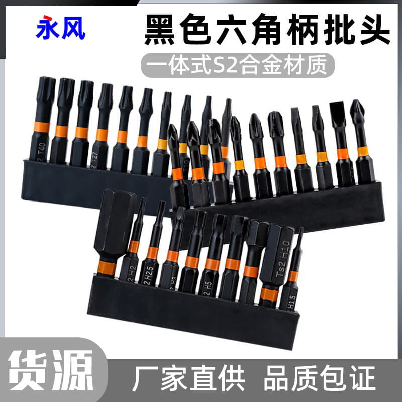 Electric Screwdriver 10-Piece Set with Cross, Flat, Torx, Black Hex Bit Set for Drill Driver Bits