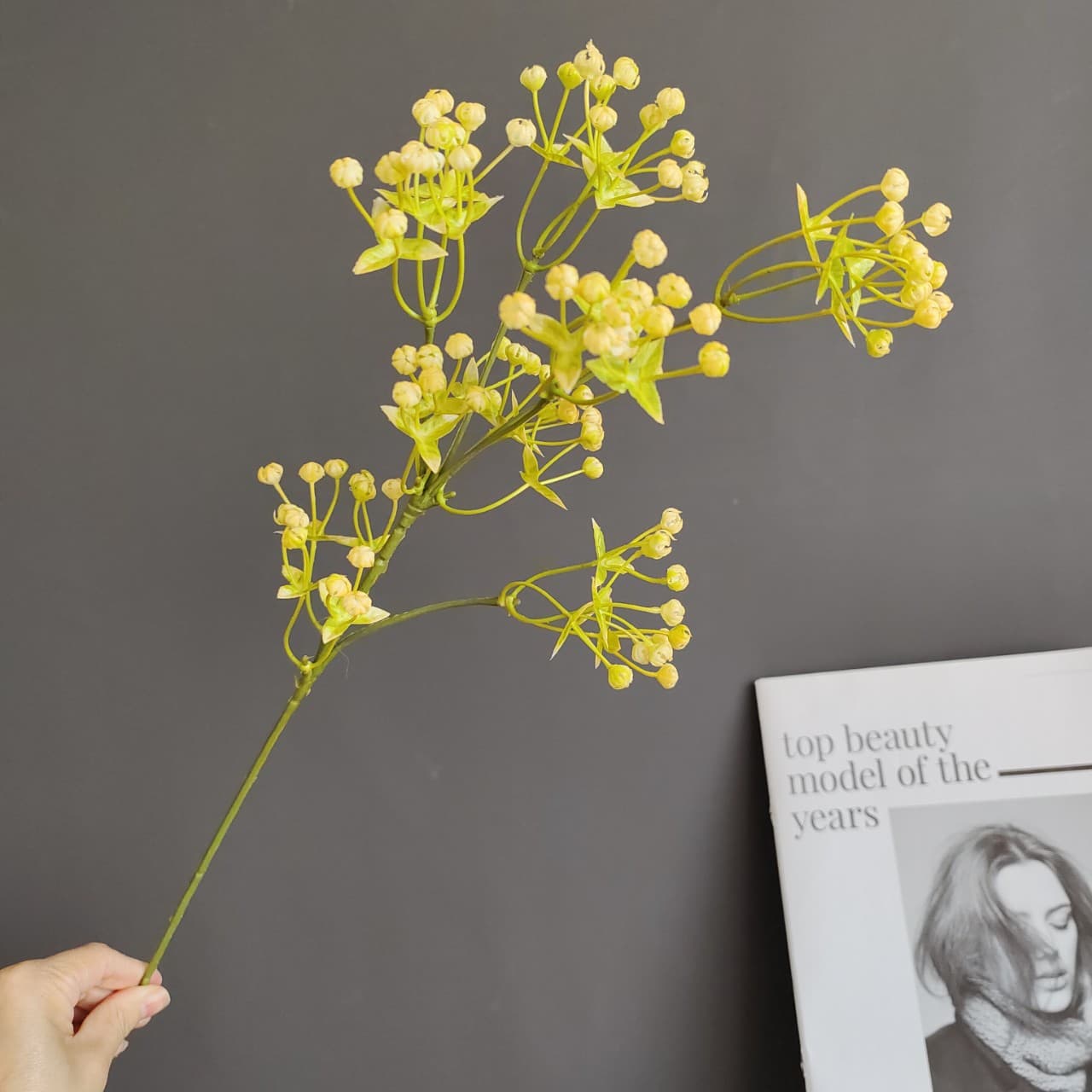 Simulated flower gypsophila, fennel fruit, overseas supply, Nordic home model room, wedding, Christmas flower arrangements and accessories wholesale
