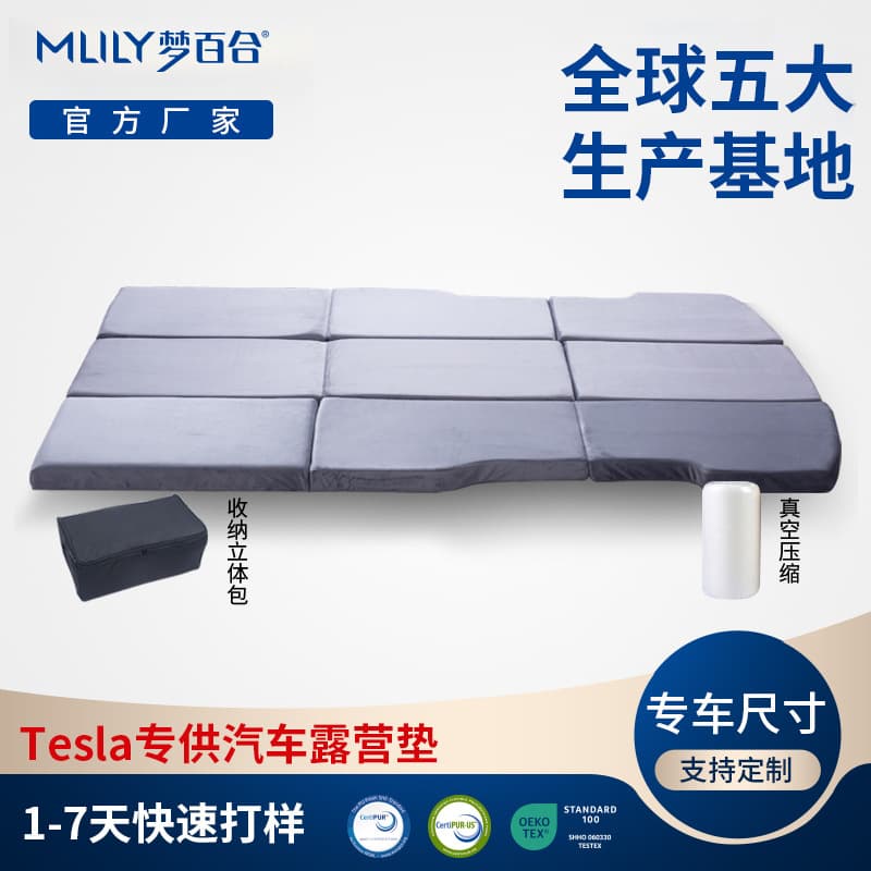 Mlily Alcohol-Resistant Flame Retardant Anti-Decubitus Hospital Bed Care Spine Protection Student Dormitory Memory Foam Thin Mattress