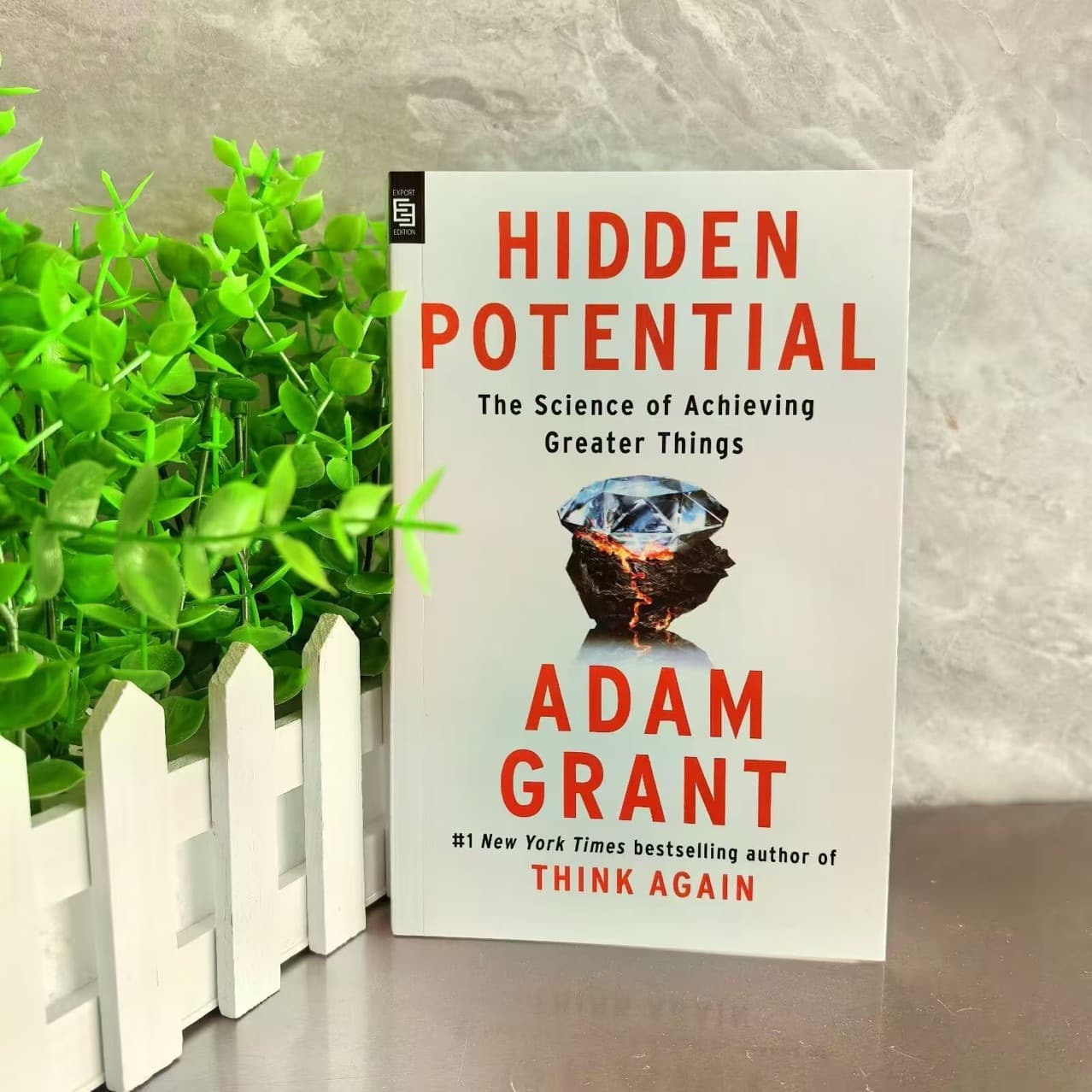 Hidden Potential: The Science of Achieving Greater Things by Adam Grant