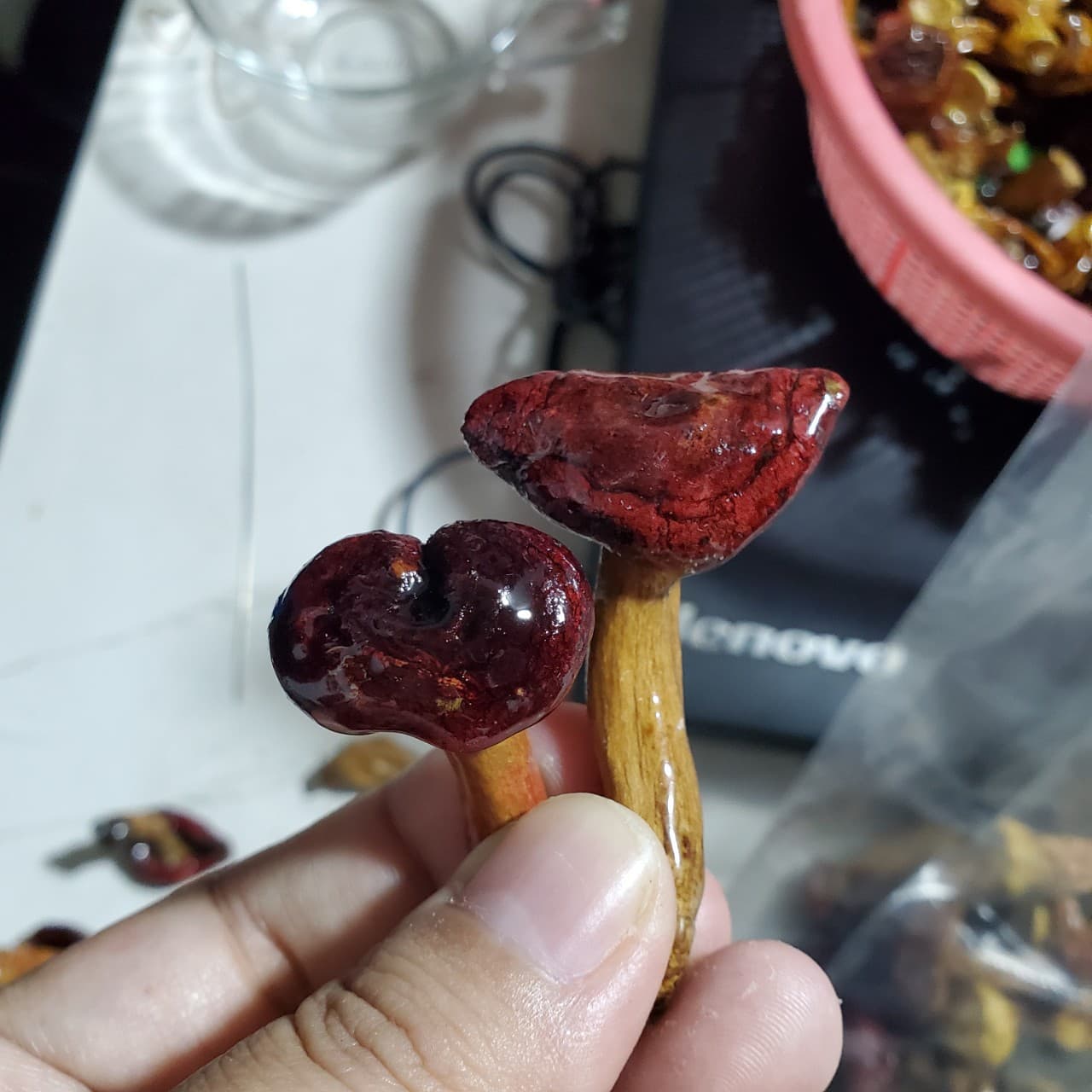 Resin morel earrings - small mushroom hair accessories with real dried flowers, semi-finished DIY craft materials