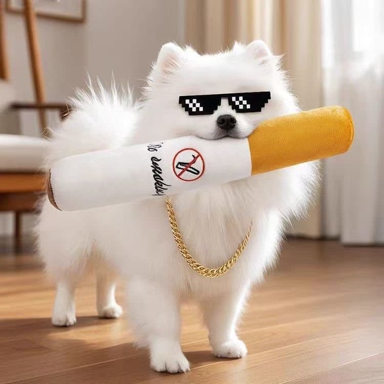Dog plush toy, pet pillow, teething resistant, cigarette pillow, chewing toy, cat and dog toys wholesale