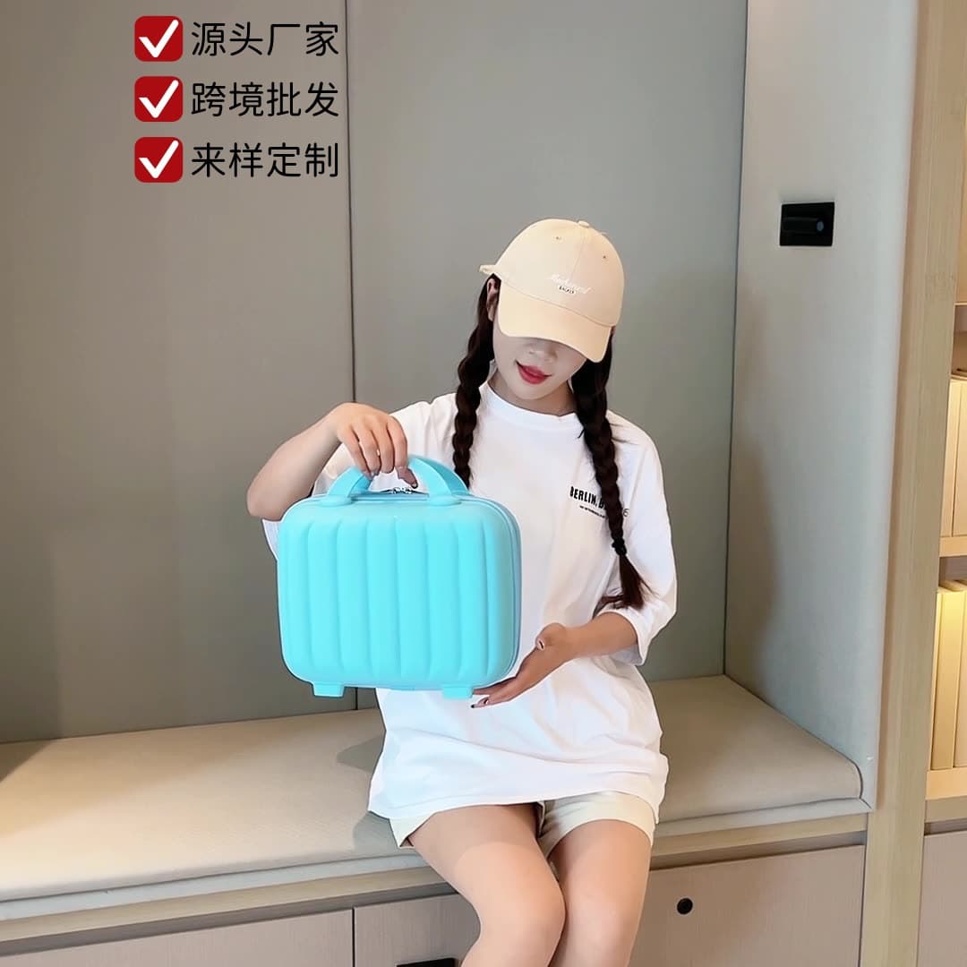 Bag Factory 14-inch Luggage Small Cosmetic Case Gift Hand Carry Case Custom Logo Wholesale P033