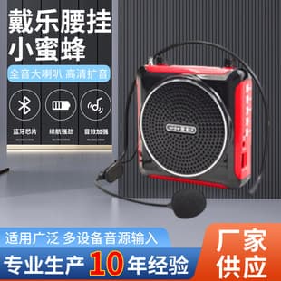 Dailuo Waist-worn Mini Teaching Amplifier Loud Volume Portable Card-insert Speaker Tour Guide Speaker