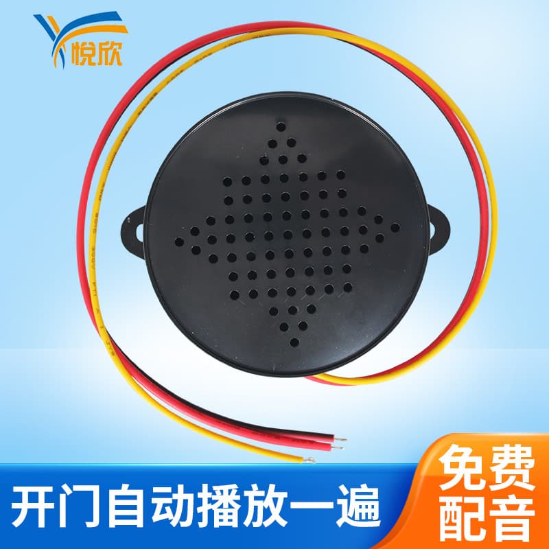 YX65 Door Entry Voice Broadcast Access Control Magnetic Lock Electric Bolt Lock Voice Prompt Reminder Replaceable Sound MP3
