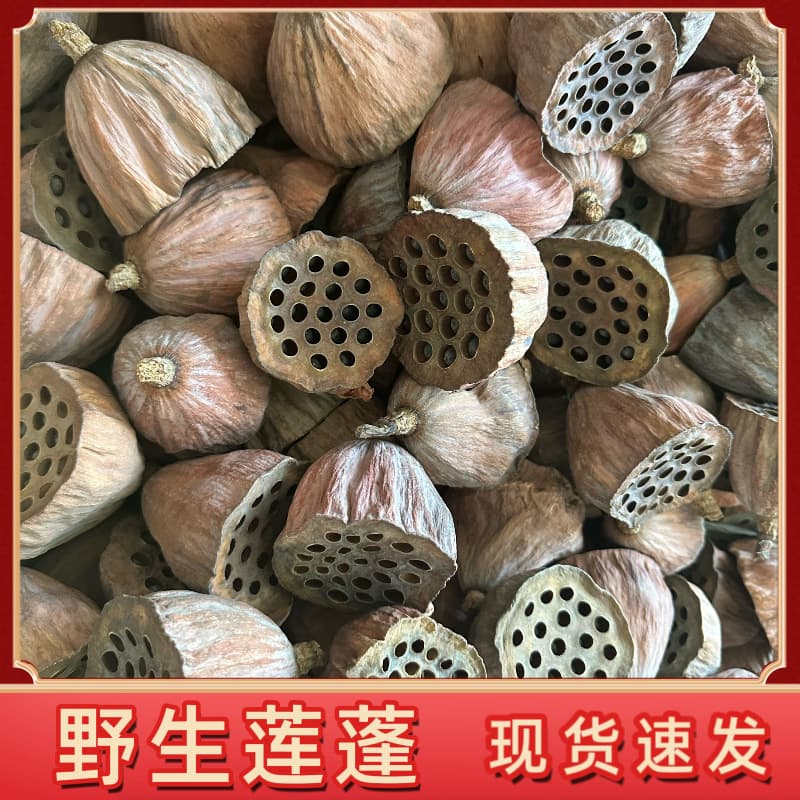 Dried and Artificial Flowers with Seed Pods, Lotus Pod Crafts, Decorative Lotus Pods, Flowers