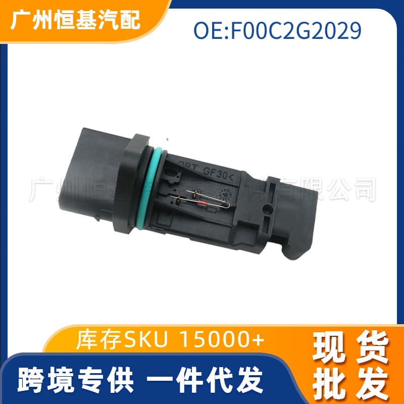 F00C2G2029 Air Flow Meter for BMW E46/E39 Auto Parts F00C2G2029