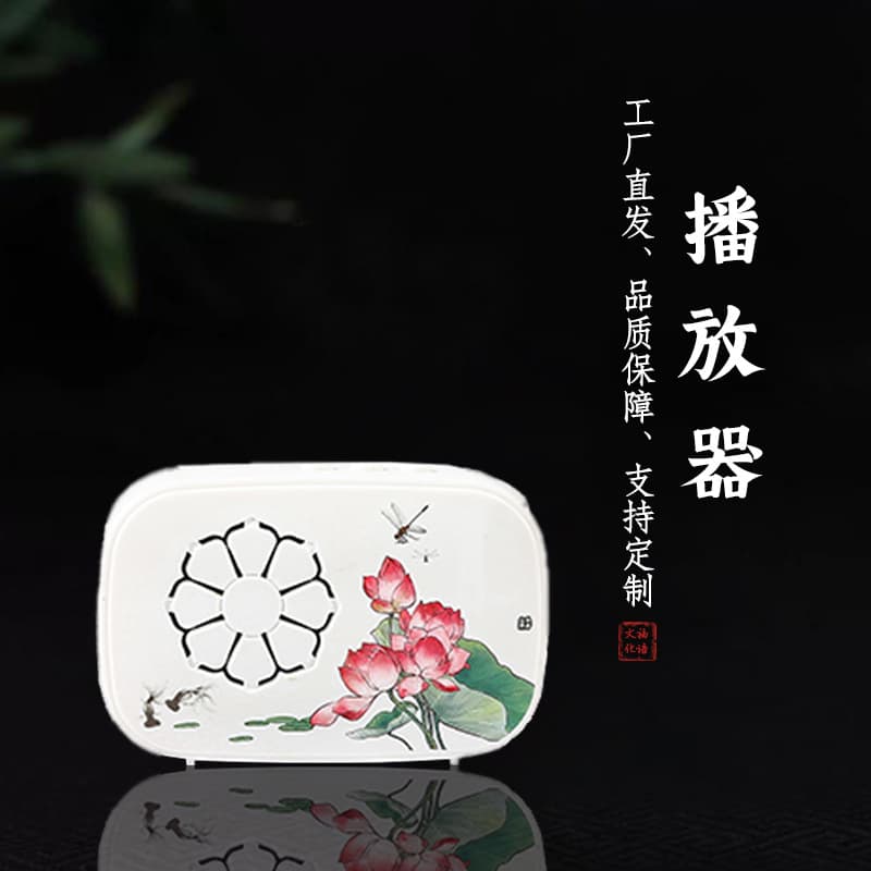 Portable Music Player Elderly Portable MP3 Battery Direct Charging Dual Use 24-Hour Continuous Play 38 Songs