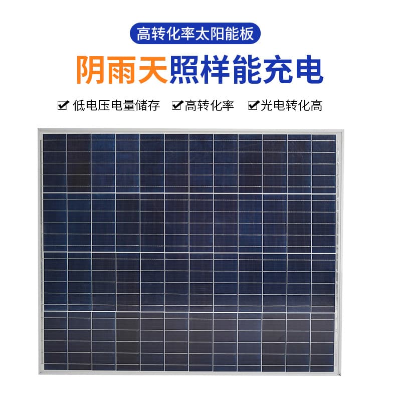 Professional Grade Wind-Solar Hybrid Street Light 6m Municipal Outdoor Lighting Wind Power Solar Light