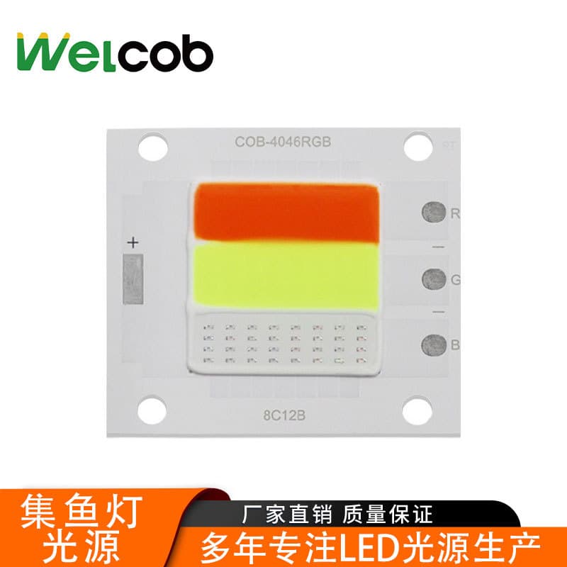 LED Floodlight COB LED Chip 20W 30W 50W High Power Integrated LED Street Light COB Light Source High Brightness Chip