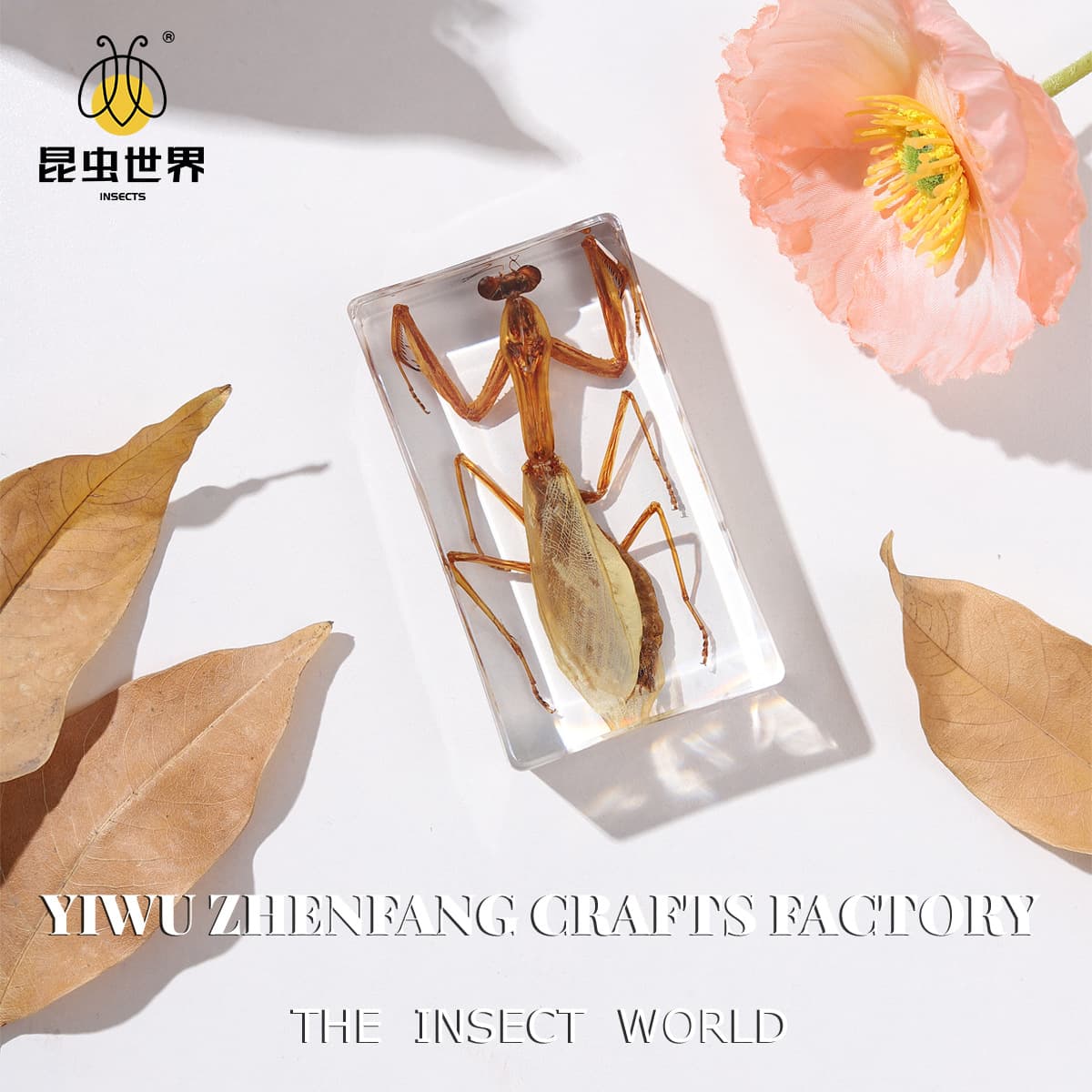 Jingling Craft Insect Specimen Stag Beetle Scorpion Mantis Spider Biology Science Education Niche Gift Resin Ornament